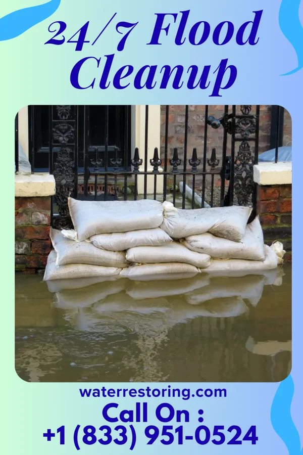 24/7 Flood Cleanup in Bulpitt, IL