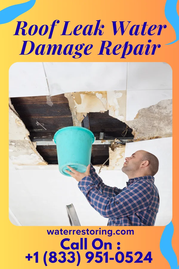 Roof Leak Water Damage Repair in Bulpitt, IL